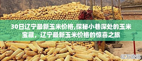 辽宁玉米宝藏探秘，最新价格之旅与小巷深处的惊喜发现