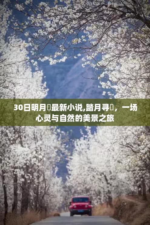 踏月寻珰，明月珰最新小说中的心灵与自然美景之旅