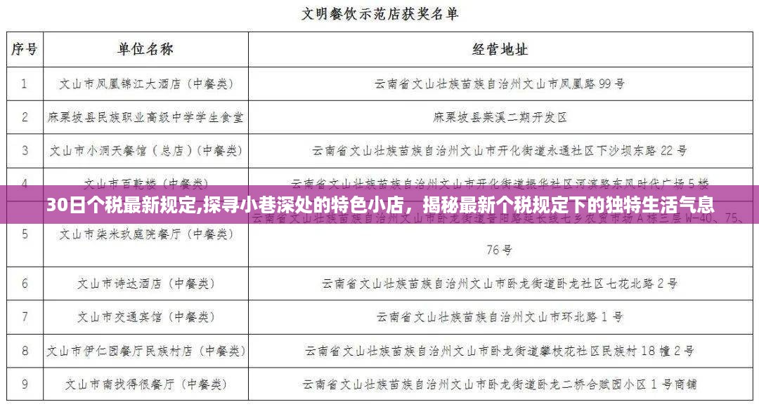 最新个税规定下的独特生活气息，探寻小巷深处的特色小店