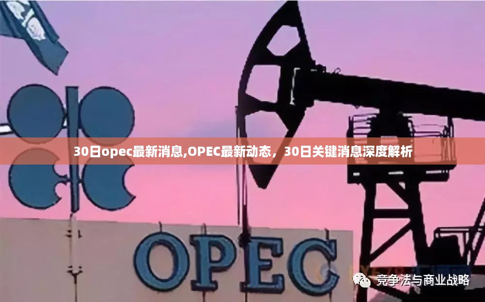 OPEC最新动态深度解析，30日关键消息一览