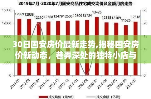 揭秘固安房价最新动态与巷弄深处独特小店的故事，深度探秘房价走势与独特体验