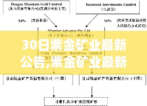 初学者友好版，紫金矿业最新公告解读与执行指南全解析