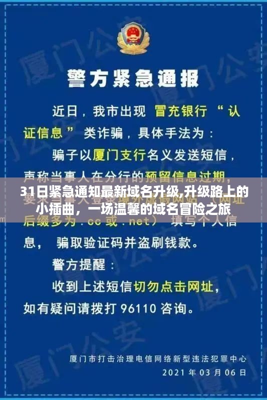 31日紧急通知，域名升级路上的温馨冒险之旅