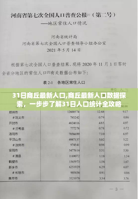 商丘最新人口数据探索，全面解读人口统计全攻略