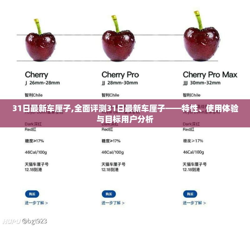 31日最新车厘子全面评测，特性、使用体验与目标用户分析