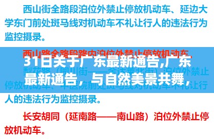 广东最新通告，与自然美景共舞的心灵之旅，远离尘嚣的宁静体验