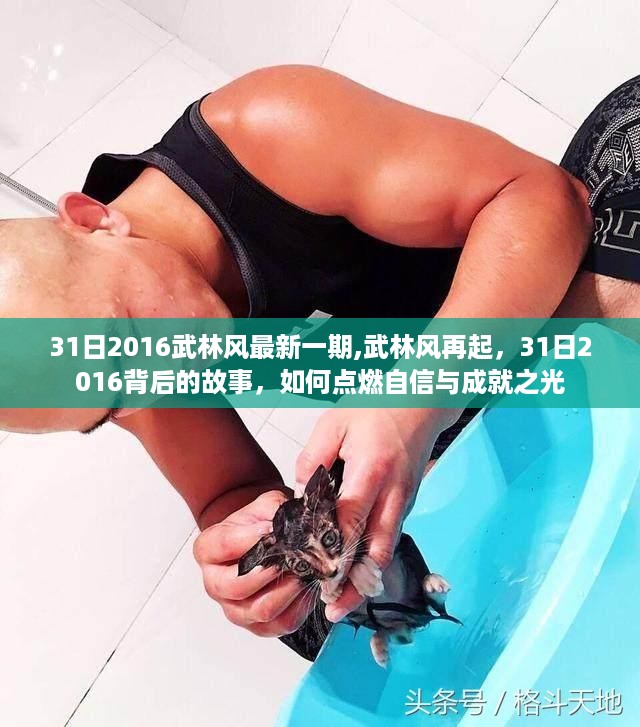 揭秘武林风起背后的故事，点燃自信与成就之光——武林风再起，最新一期回顾与展望