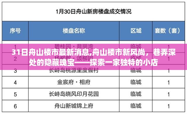 探索舟山楼市新风尚，巷弄深处的独特小店揭秘