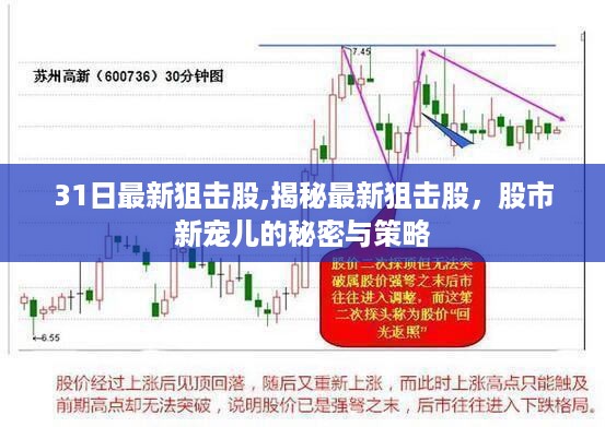 揭秘最新狙击股，股市新宠儿的策略与秘密