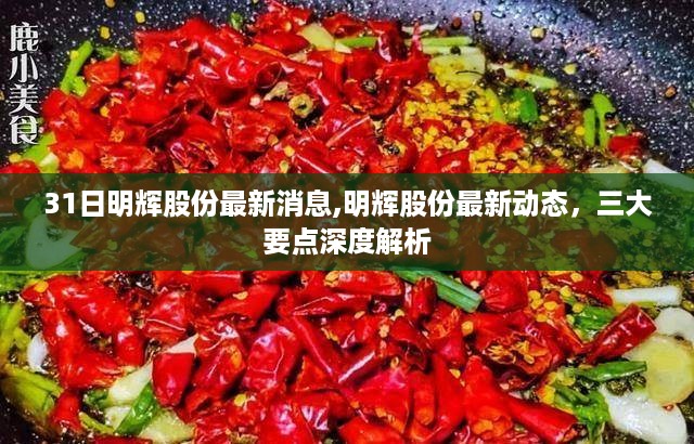 明辉股份最新动态解析，三大要点揭秘最新消息深度解读