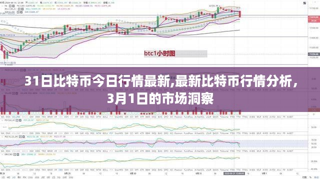 比特币行情分析，最新市场动态及市场洞察（三月一日更新）