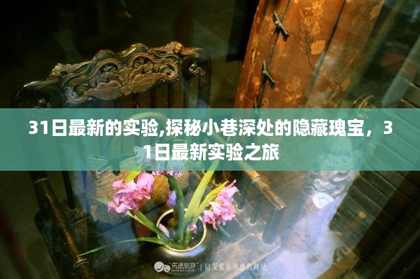 探秘小巷深处的隐藏瑰宝，最新实验之旅开启