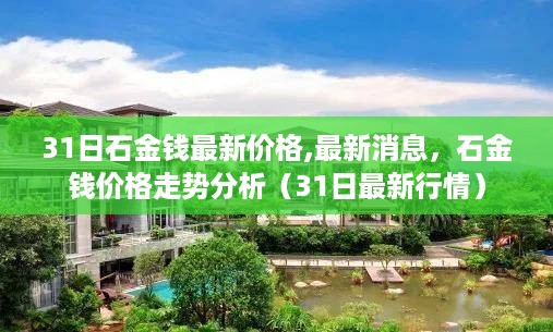 31日石金钱最新价格及走势分析，最新行情与消息一览