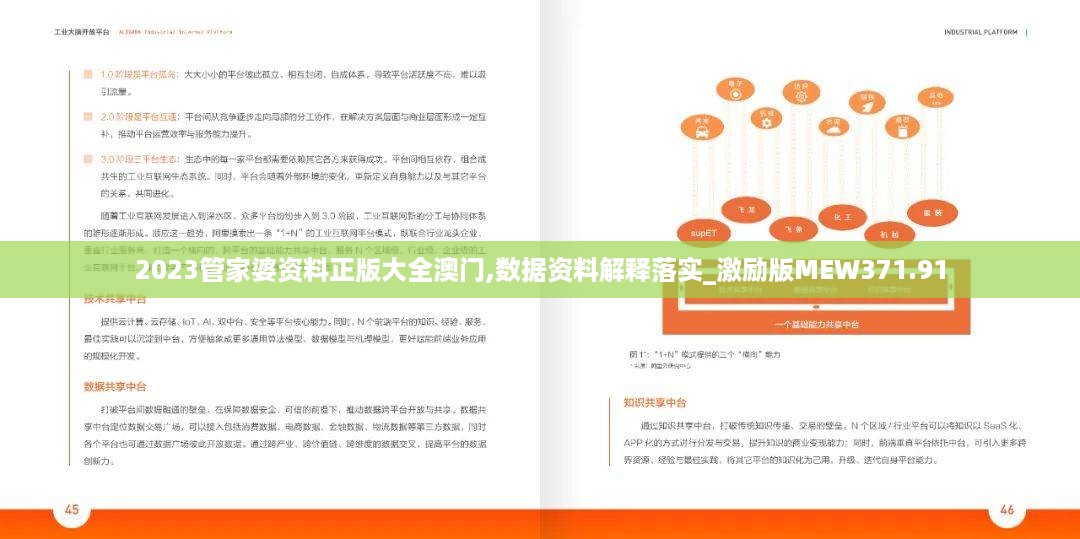 2023管家婆资料正版大全澳门,数据资料解释落实_激励版MEW371.91