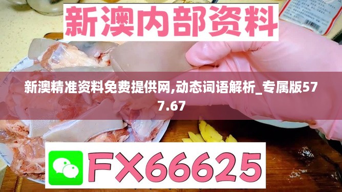 新澳精准资料免费提供网,动态词语解析_专属版577.67