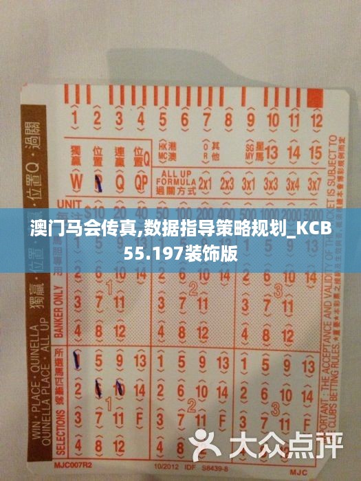 澳门马会传真,数据指导策略规划_KCB55.197装饰版