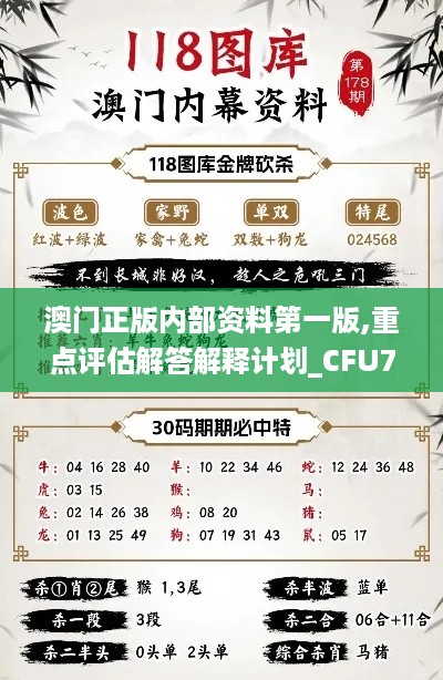 澳门正版内部资料第一版,重点评估解答解释计划_CFU7.72.90国际版