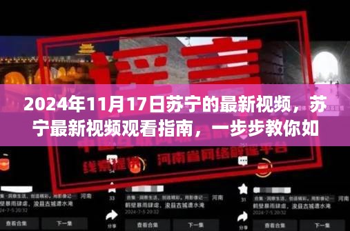 苏宁最新视频观看指南，教你如何观看苏宁2024年11月17日视频直播