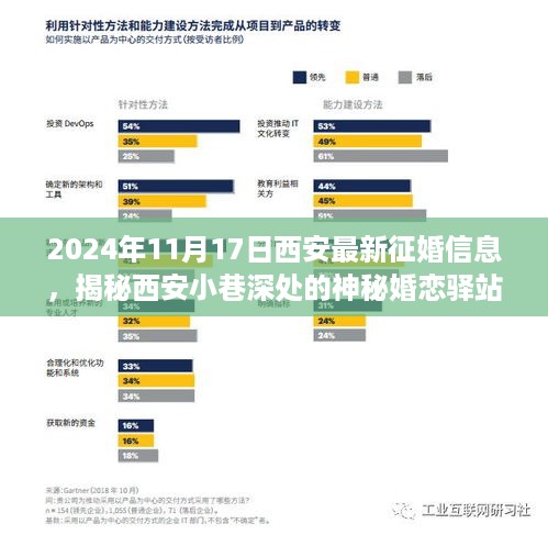 揭秘西安神秘婚恋驿站，最新征婚信息之旅（2024年11月17日）