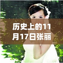 张丽莉与时代的印记，历史上的11月17日最新消息速递