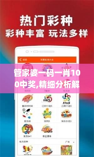 管家婆一码一肖100中奖,精细分析解释定义_MVR2.55.28精选版