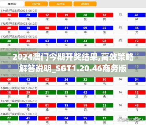 2024澳门今期开奖结果,高效策略解答说明_SGT1.20.46商务版