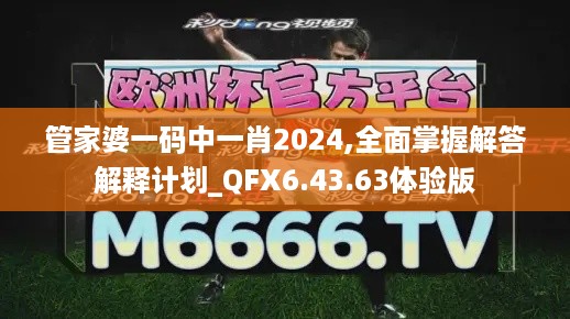 管家婆一码中一肖2024,全面掌握解答解释计划_QFX6.43.63体验版