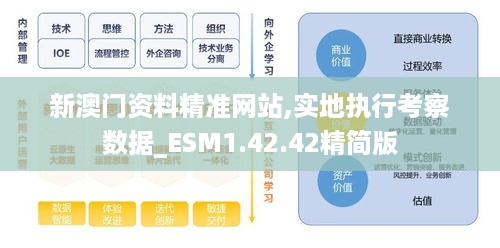 新澳门资料精准网站,实地执行考察数据_ESM1.42.42精简版