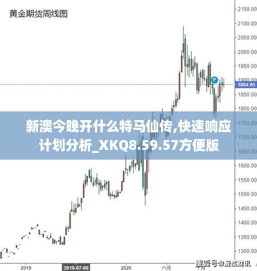 新澳今晚开什么特马仙传,快速响应计划分析_XKQ8.59.57方便版