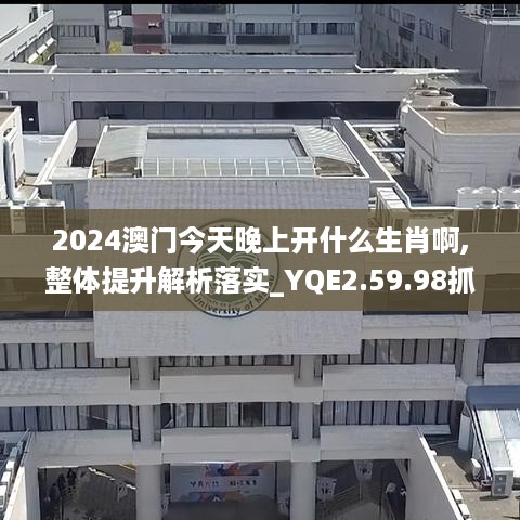 2024澳门今天晚上开什么生肖啊,整体提升解析落实_YQE2.59.98抓拍版