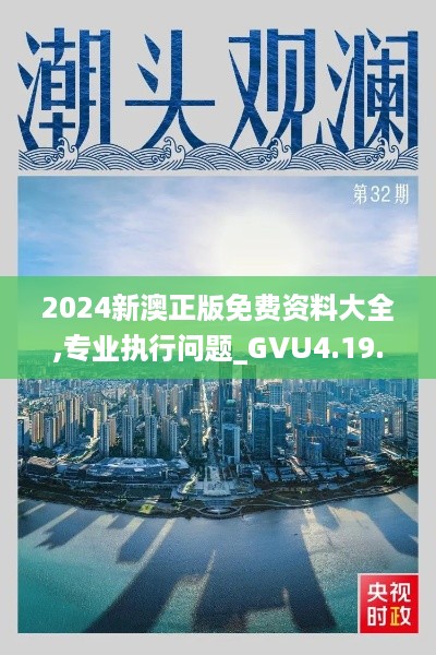 2024新澳正版免费资料大全,专业执行问题_GVU4.19.94潮流版