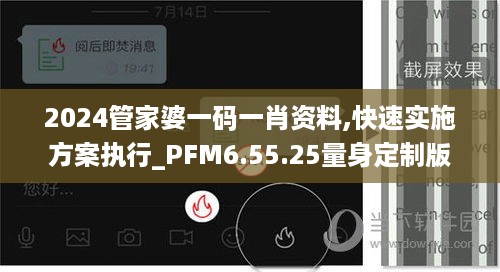 2024管家婆一码一肖资料,快速实施方案执行_PFM6.55.25量身定制版