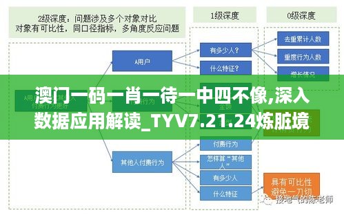 澳门一码一肖一待一中四不像,深入数据应用解读_TYV7.21.24炼脏境