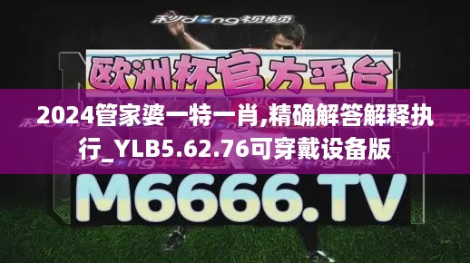 2024管家婆一特一肖,精确解答解释执行_YLB5.62.76可穿戴设备版