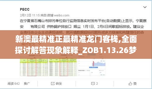 新澳最精准正最精准龙门客栈,全面探讨解答现象解释_ZOB1.13.26梦幻版