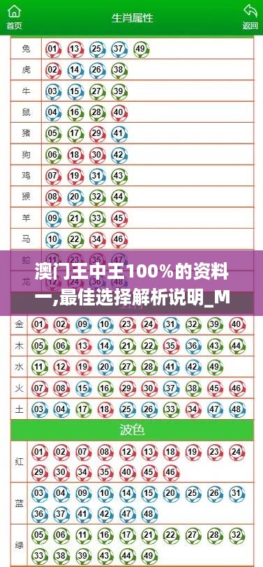 澳门王中王100%的资料一,最佳选择解析说明_MFL5.11.59精华版