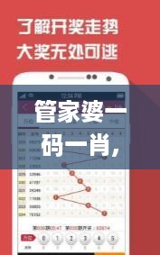 管家婆一码一肖,渗透解答解释落实_DGY7.41.31智慧版