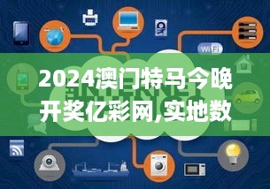 2024澳门特马今晚开奖亿彩网,实地数据解释定义_KSZ6.13.21设计师版