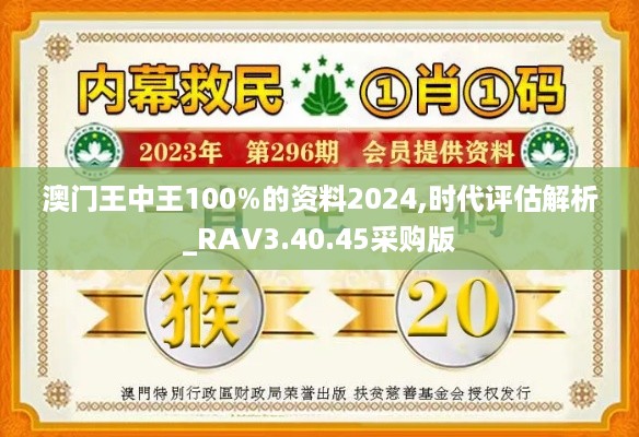 澳门王中王100%的资料2024,时代评估解析_RAV3.40.45采购版