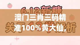 澳门三肖三码精准100%黄大仙,严实解答解释落实_LVT4.54.93授权版