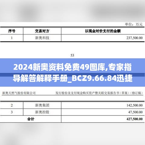 2024新奥资料免费49图库,专家指导解答解释手册_BCZ9.66.84迅捷版