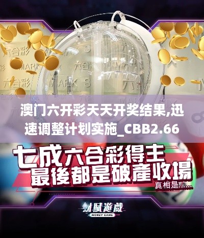 澳门六开彩天天开奖结果,迅速调整计划实施_CBB2.66.78机器版