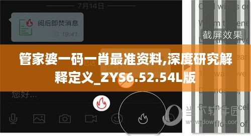 管家婆一码一肖最准资料,深度研究解释定义_ZYS6.52.54L版