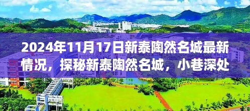 探秘新泰陶然名城，小巷深处的隐藏瑰宝——最新揭秘（日期，2024年11月）