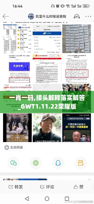 一肖一码,接头解释落实解答_GWT1.11.22荣耀版