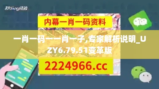 一肖一码一一肖一子,专家解析说明_UZY6.79.51变革版