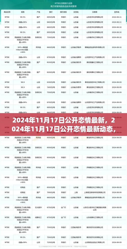 深度剖析，揭秘2024年11月17日公开恋情最新动态与深度观点