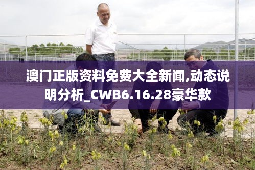 澳门正版资料免费大全新闻,动态说明分析_CWB6.16.28豪华款