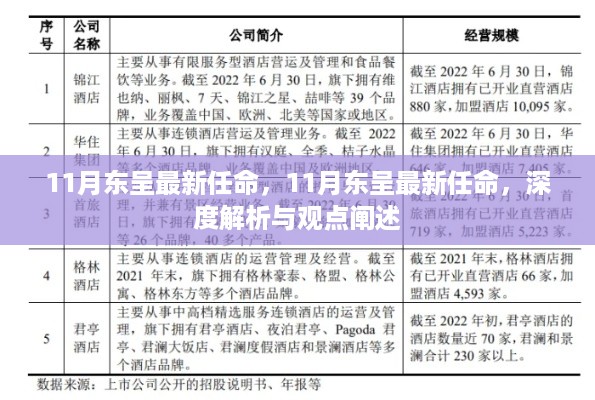 11月东呈最新任命深度解析与观点阐述