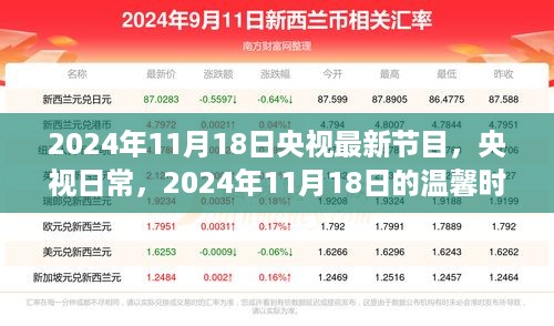 央视日常，温馨时光——2024年11月18日节目回顾